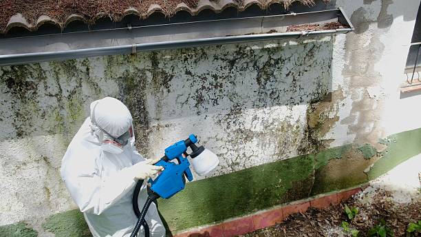 Trusted Commercial Mold Remediation service in Accident, MD - Cheap Mold Removal